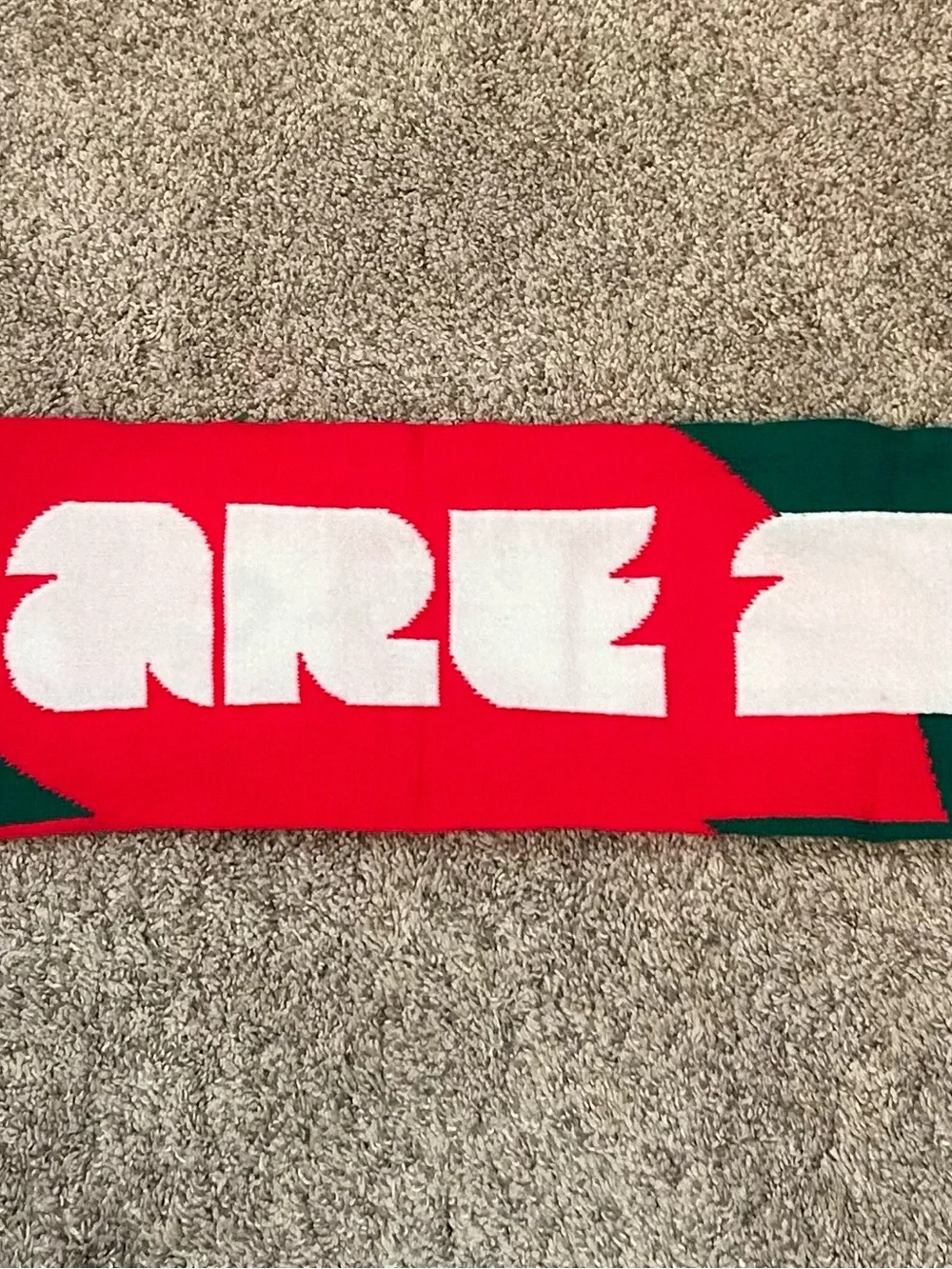 We Are 26 Green and Red Knit Scarf
